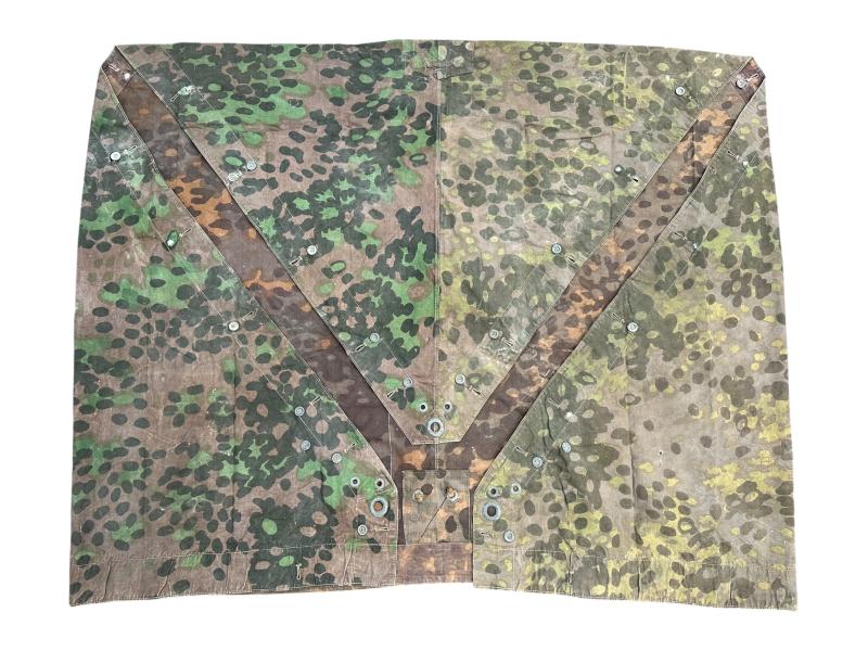 W-SS Plane Tree 6/6 Shelter Quarter